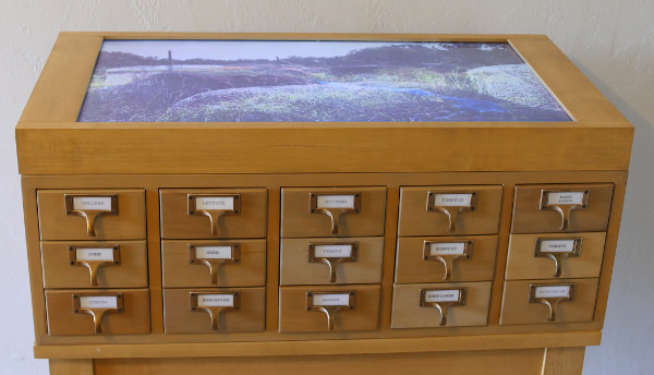 12 - seed cabinet 2