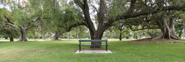 4 - 5. Park Bench in the Adelaide Peace Park_WEB.JPG