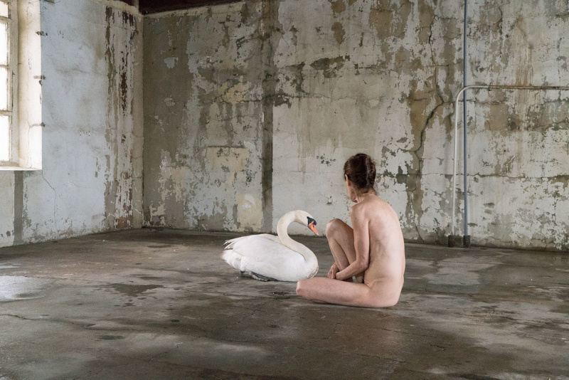 7 - Leda and the Swan (production stills), 2019
