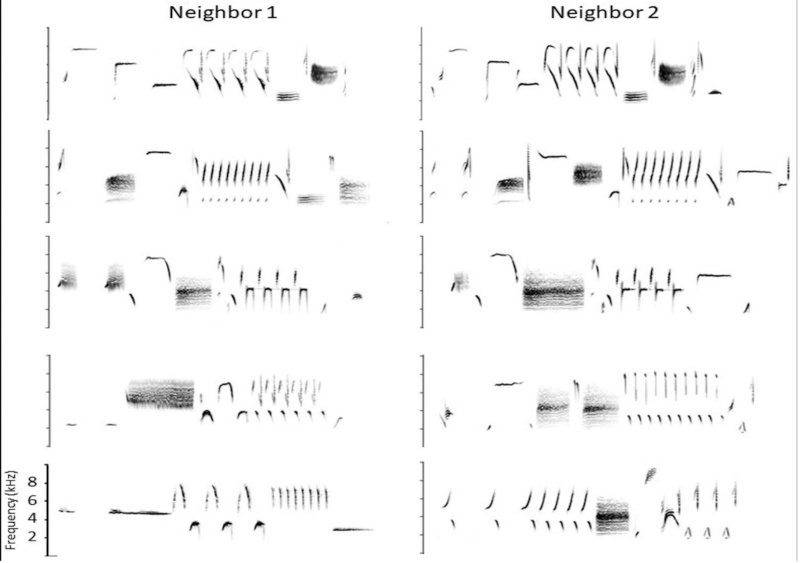 5 - Figure4.jpg