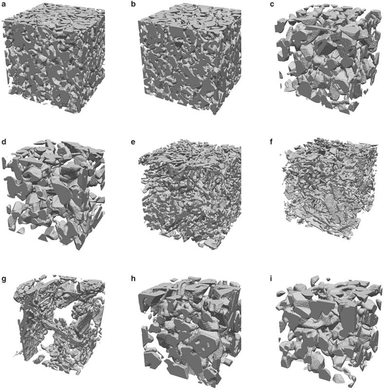 6 - IMG7_xRay tomography_heggli.jpg