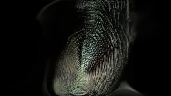 9 - RTS_Manuela_Johanna_Covini_fingerprint.jpg